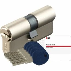 ISEO CAVERS Lot De 2 Cylindres ISR50 S'entrouvrants De 30x30mm CG13950X2 - CG13950X2